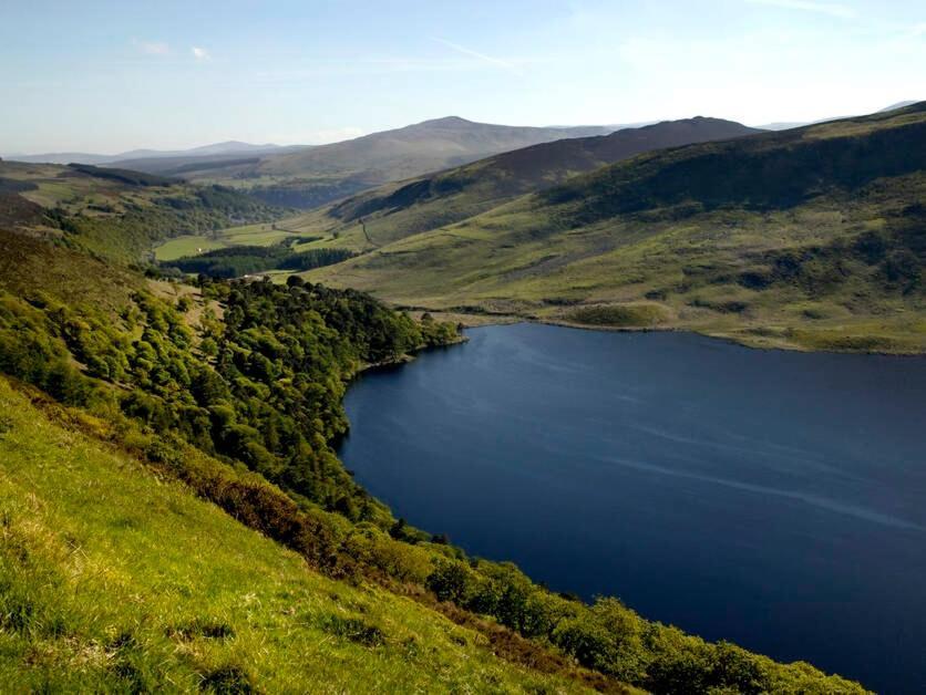 The Lodge At Woodenbridge Арклоу Екстер'єр фото